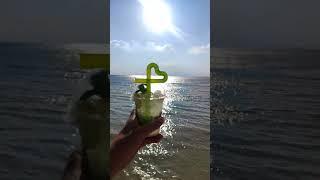 #жизнь #египет #funny #like #cute #how #happy #sea #redsea #море #live #отдых #wow #video #beach
