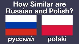 How Similar are Russian and Polish?