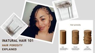 What Is Porosity | High & Low Porosity Hair | Natural Hair Growth & Tips | Hair Porosity Explained