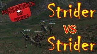 Strider VS Strider (PvP) / Lineage 2 Interlude