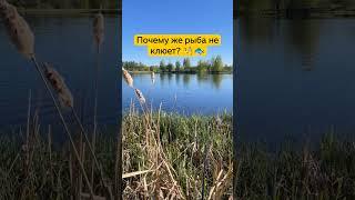 Бывало, что после заброса долго не клюет!? вот и ответ #рыбалка #крючок #опарыш