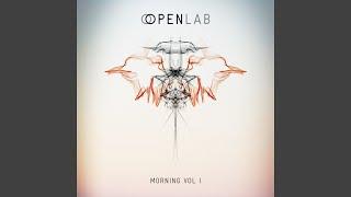 OpenLab Morning, Vol. 1 (Selected By Robert Miles)