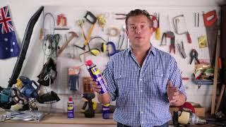 How does WD-40 remove unwanted moisture?