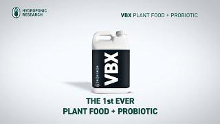 VBX: Plant Food + Probiotic