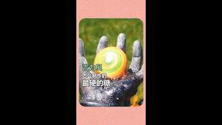 # Village Flowers Huxi's Good recommend# Super Will Buy Planning# Village Flowers's Wonderful Scien