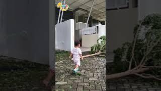 Alvaro dan Ivandra Bermain Mobil-mobilan di Pohon yang di Potong - MEMOKU #Shorts