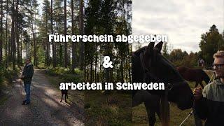 Arbeiten in Schweden / Führerschein abgegeben / Besuch beim Pferd / Leben in Schweden 