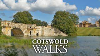 Blenheim Palace & Combe Circular | Beautiful Cotswold Walks