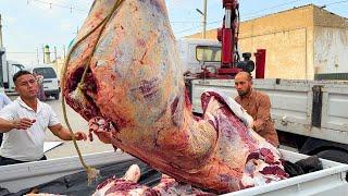 SHOCK!! 1001 KG BLACK BULL MEAT for 2200 pieces BOSIM BOBO Tandoori Samosas