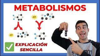 Qué es el METABOLISMO??  (explicado) CATABOLISMO y ANABOLISMO