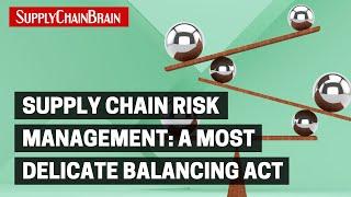 Supply Chain Risk Management: A Most Delicate Balancing Act