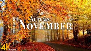 Autumn November 4K Ultra HD • Enchanting Autumn November, Relaxation Film with Calming Music.