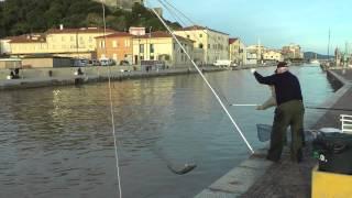 Castiglione della Pescaia, Pesca Grossa