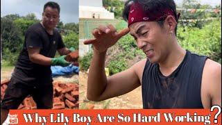 Why Lily boy are so hard working?#tibetanvlogger #gorshey #bir #tibet @choesang95vlog #tibetan