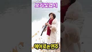 보라빛엽서-에어로폰연주 #김미자뮤직TV
