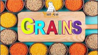 Names of Grains / Grains Names in English / Names of Grains with pictures - - Rutvway