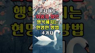 혼자라도 외롭지 않는 행복한 노후 살아가는 방법 #오늘의명언 #긍정적마인드 #인생조언