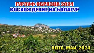 Гурзуф образца 2024. КРАСИВЕЙШИЕ ВИДЫ! Восхождение на гору Болгатур. Крым. Май 2024