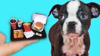 Making Tiny Foods for a Tiny Rescue Dog  McDonalds mini 