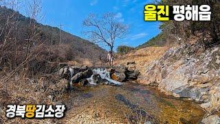 경북땅김소장[매번843번] 울진땅/힐링터로 좋아요