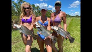 Fishing For BARRAMUNDI in FLORIDA!!