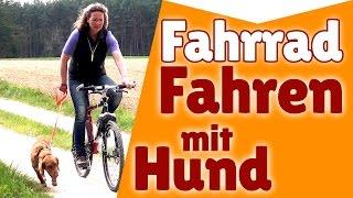 ►►► Fahrradfahren mit Hund  Wie du Radfahren mit Hund auf jedem Gelände trainierst ! 