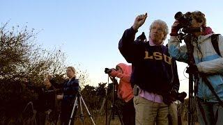 A Photography Lesson in California Wine Country