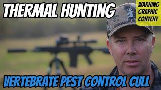 Thermal Hunting || Shooting Pest Control Cull || Thermion 2 LRF XL50 || 308Win WT25 Rifle