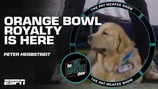 ROYALTY IS HERE  Peter Herbstreit, THE retriever of the Orange Bowl  | Field Pass with Pat McAfee