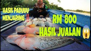 LUARBIASA ‼️HASIL JUAL IKAN RM 800 SEHARI ⁉️ MENJARIG IKAN .. Rezeki Nelayan Sungai Muar