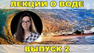 Лекции о воде, выпуск 2: «Что такое чистая качественная вода» - Регина Кутимская