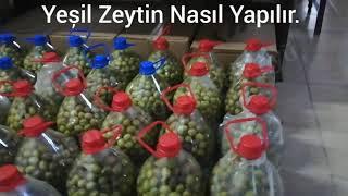Yeșil zeytin nasıl yapılır? Gemlik muratoba köyü