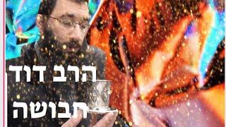 *שורש נשמת רבי עקיבא בסוד הגביע. מפי הרב דוד חבושה הי"ו*
