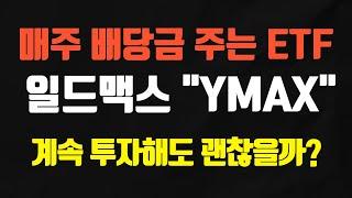 일드맥스의 YMAX 구성 종목, 수익률 등 분석