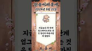 오늘의 원숭이띠 운세 2024년 8월 21일 #원숭이띠 #오늘의운세 #내일의운세 #운세 #운세쇼츠