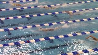 800 FREE RELAY ACC RECORD