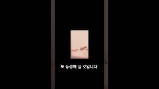 하느님을 향한 해바라기와 같은 믿음