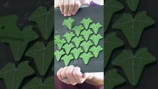 Growing Plants on your Fridge?
