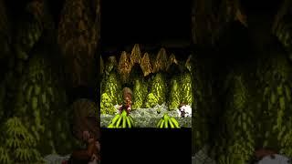 Zinging My Way Past Queen B. | DKC 1 Any% World 3