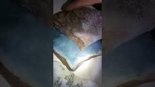 山东凯哥花50000元买的料子，三块都涨，这运气挡都挡不住！
