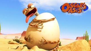 He's Gotta Get That Egg, or... | Oscar’s Oasis | Funny Cartoons for Kids