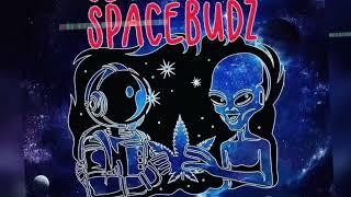 CZFromTheH - SpaceBudz (Official Audio)