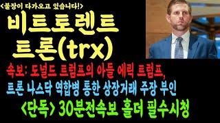 [비트토렌트][트론][trx][btc][btt]코인전망 비트코인 이더리움 도지코인 시바이누 페페코인