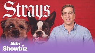 We Got the Inside Scoop from the Strays Director!  Josh Greenbaum Spills All the Tea! 