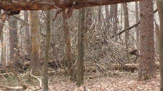 MARYLAND  Finding A REAL Bigfoot World