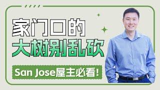 砍树攻略曝光！San Jose居民必看，教你轻松申请砍树许可证！