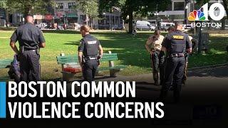 Boston Common violence spurs safety fears