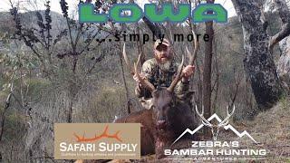 Zebra’s hunting Adventures. Guided Sambar deer hunting/ hunter education.