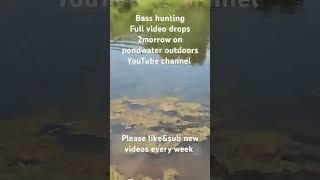 ,#bassfishing #bassfishingvideo #largemouthbass #largemouthbassfishing #fishing #fishingvideo