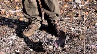 How to clean a spruce grouse in 10 seconds